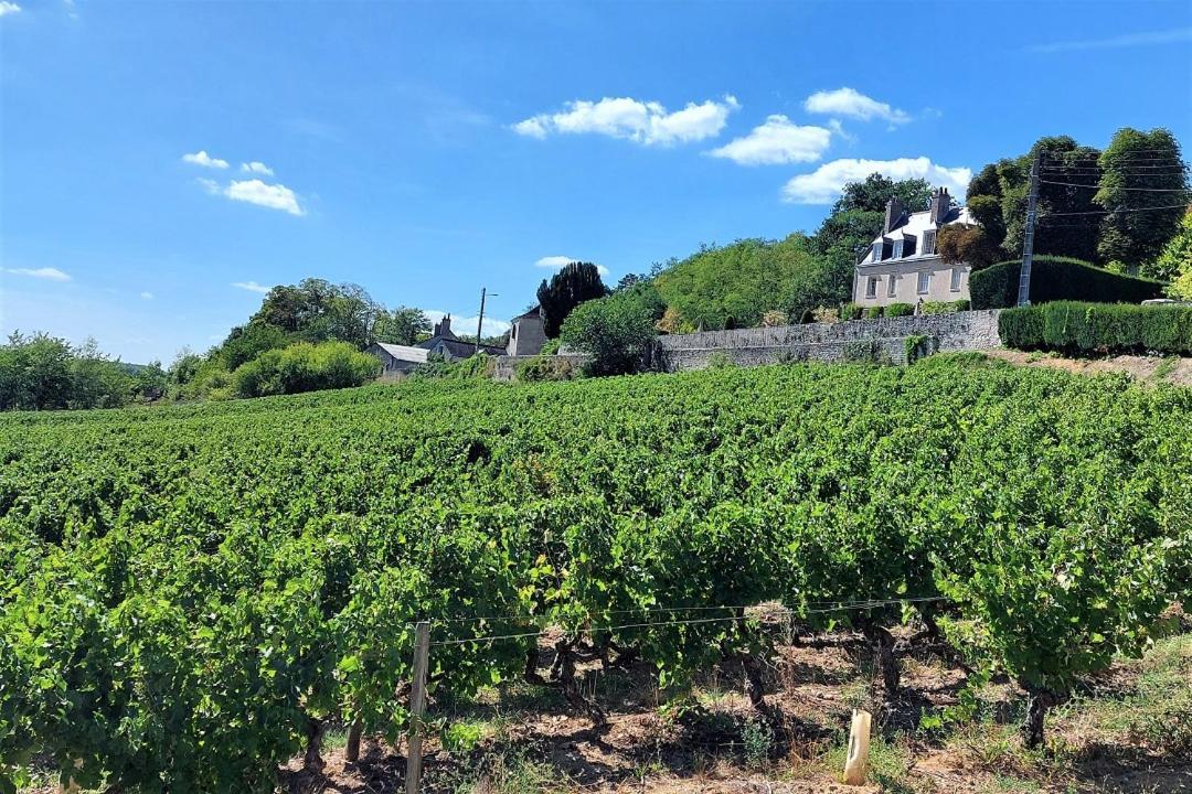 トゥールLe Balzac / Colbert - Bord De Loireアパートメント エクステリア 写真
